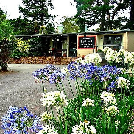 Blackheath Motor Inn Zewnętrze zdjęcie